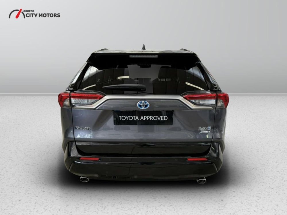 Toyota Rav4 usata a Monza e Brianza (6)