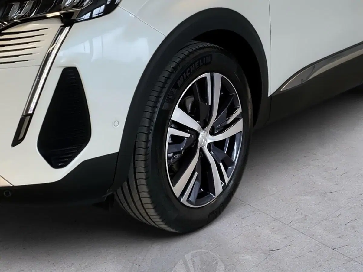 Peugeot 3008 usata a Torino (15)
