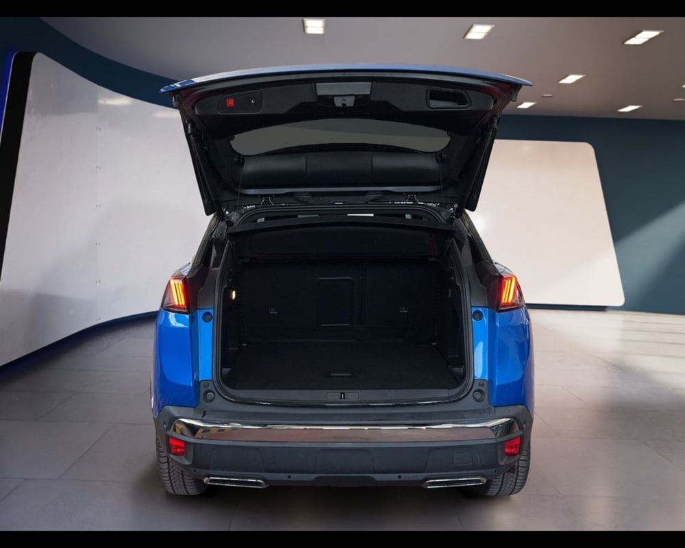 Peugeot 3008 usata a Torino (13)