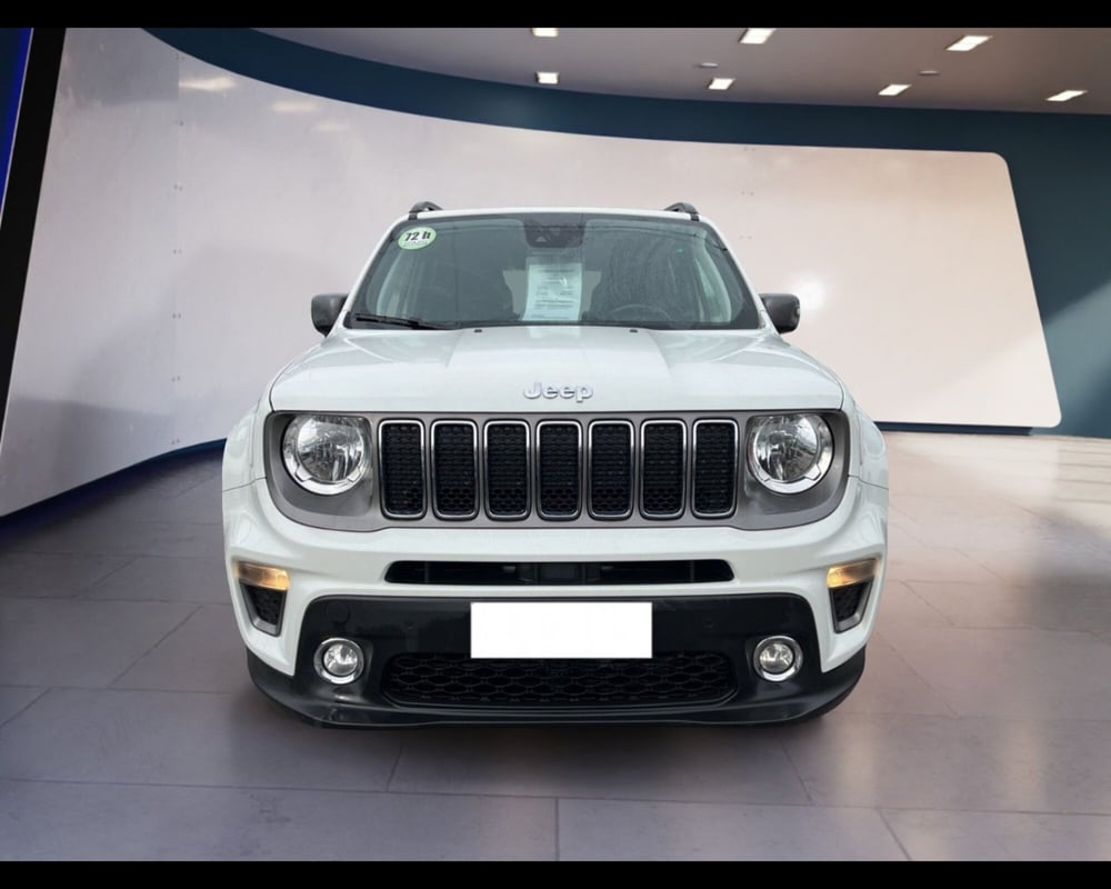 Jeep Renegade usata a Torino