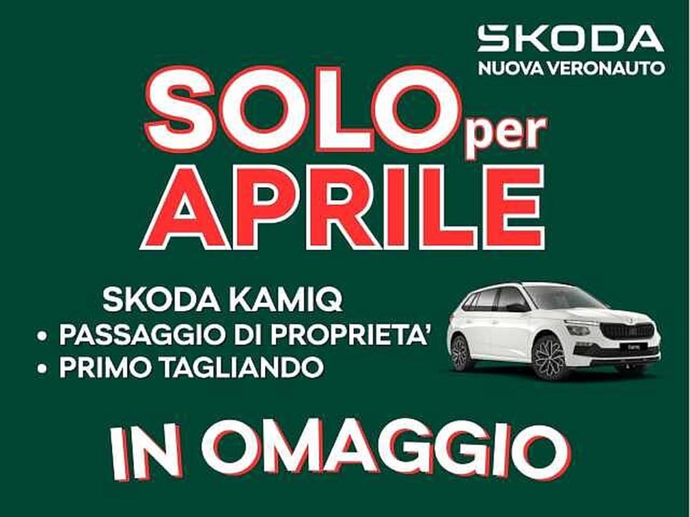Skoda Kamiq usata a Verona (2)