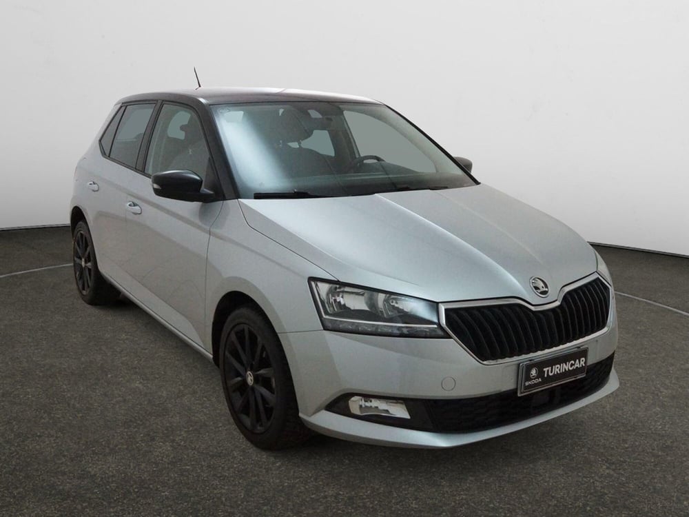 Skoda Fabia usata a Torino