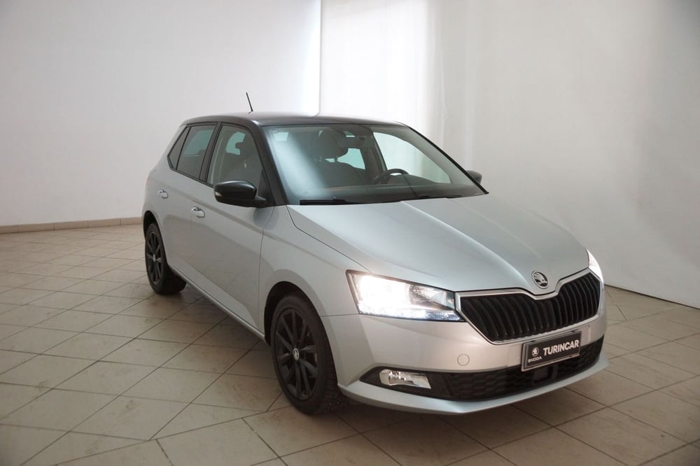 Skoda Fabia usata a Torino (20)