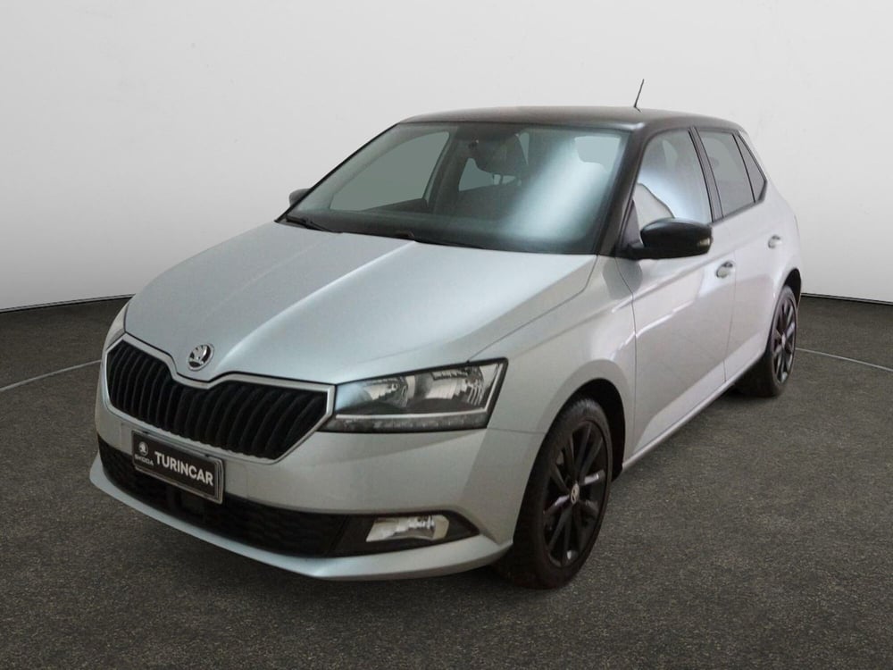 Skoda Fabia usata a Torino (3)