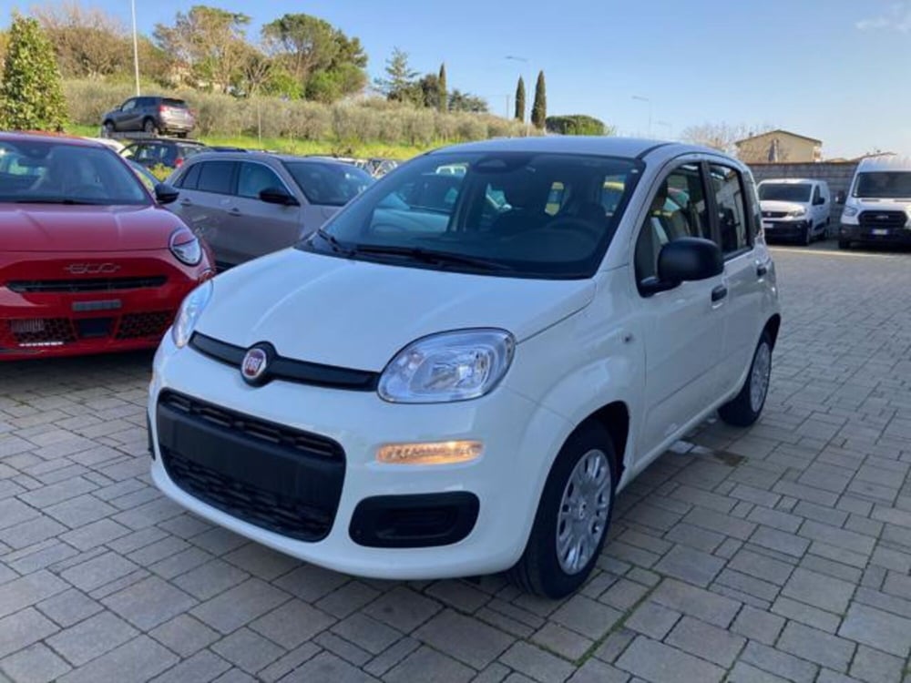 Fiat Panda nuova a Arezzo (3)