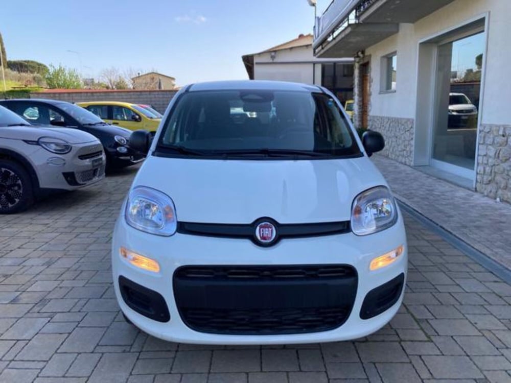 Fiat Panda nuova a Arezzo (4)