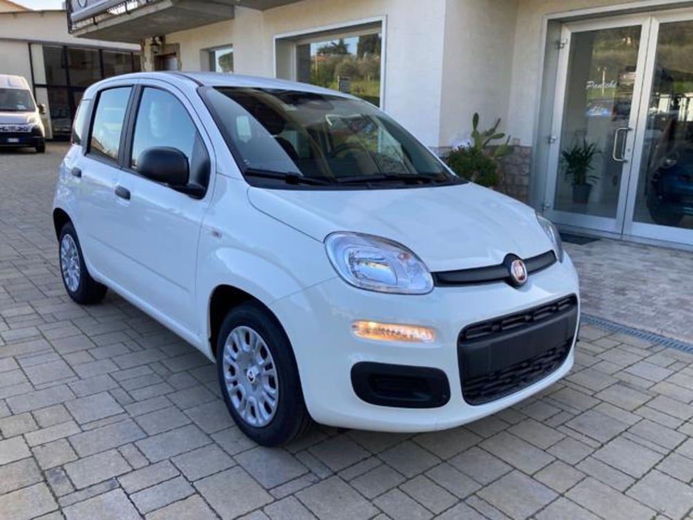 Fiat Panda nuova a Arezzo (5)