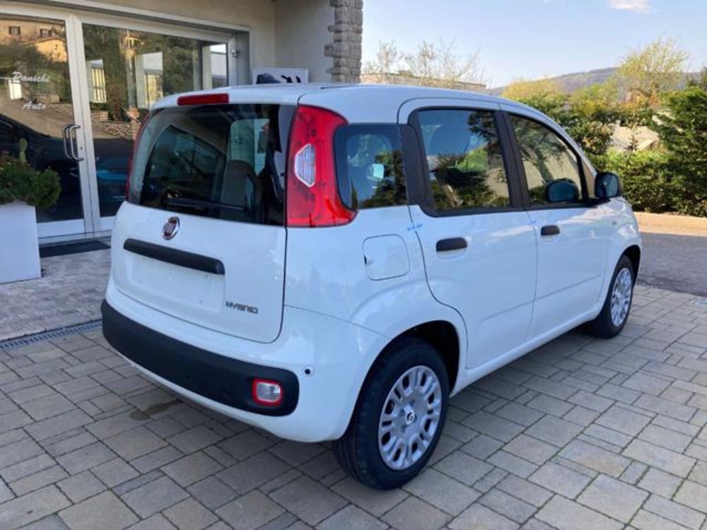 Fiat Panda nuova a Arezzo (6)