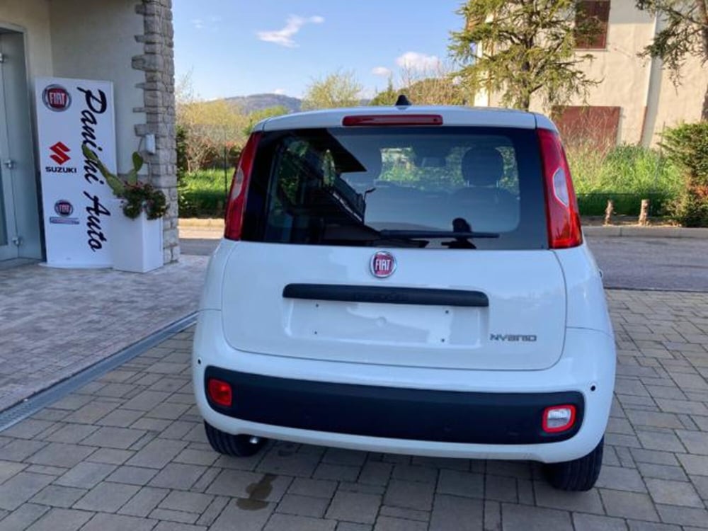 Fiat Panda nuova a Arezzo (7)