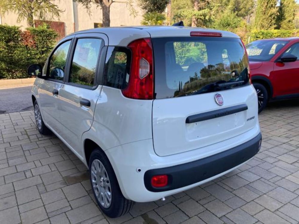Fiat Panda nuova a Arezzo (8)