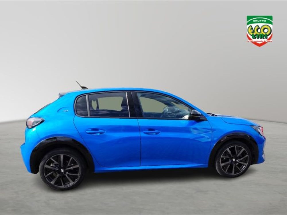 Peugeot 208 usata a Frosinone (18)