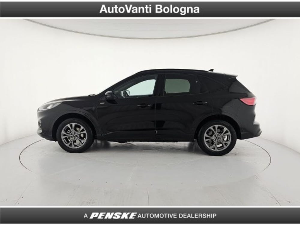 Ford Kuga usata a Bologna (2)