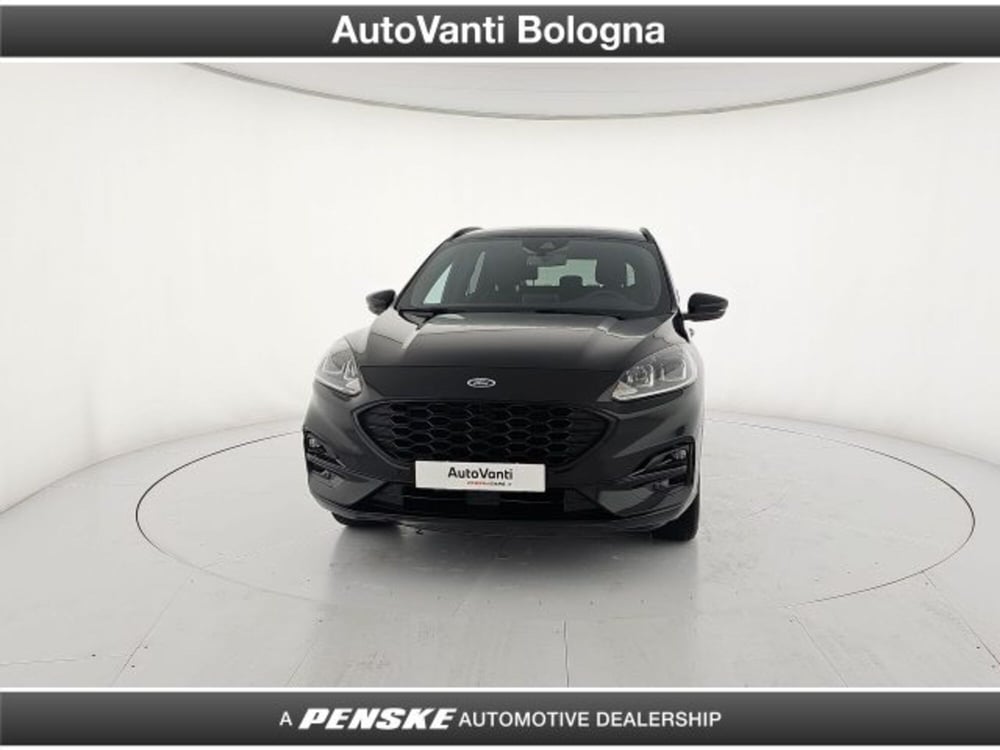 Ford Kuga usata a Bologna (7)