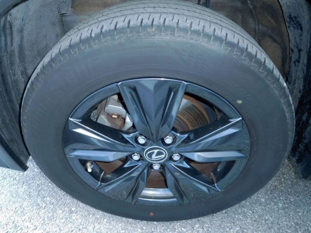 Lexus UX usata a Rimini (11)