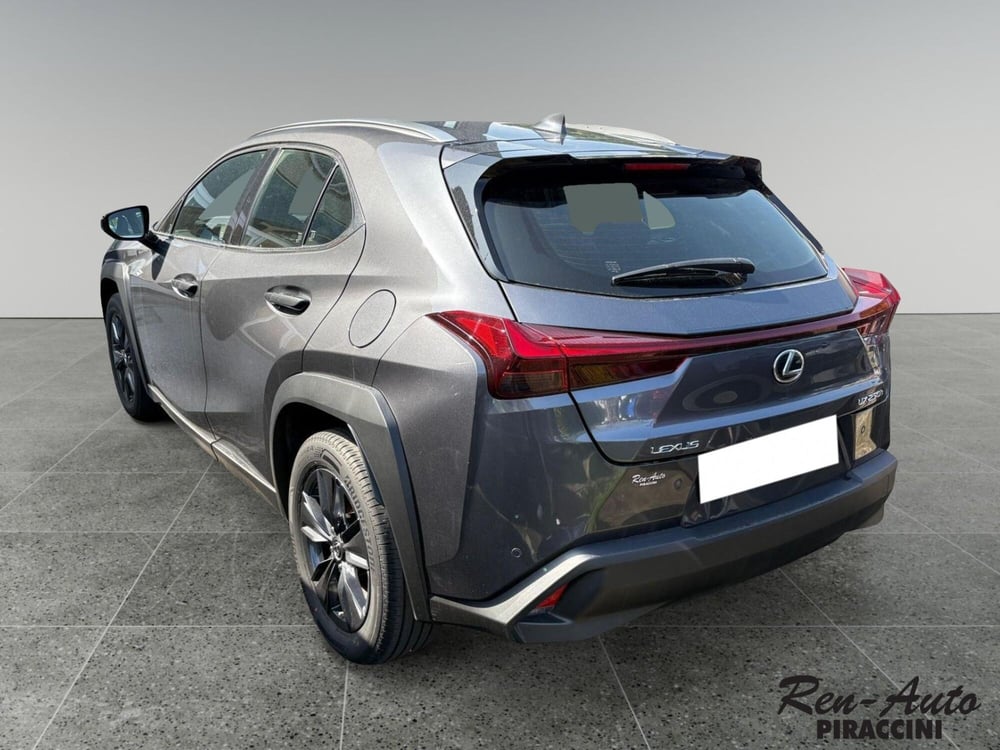 Lexus UX usata a Rimini (2)