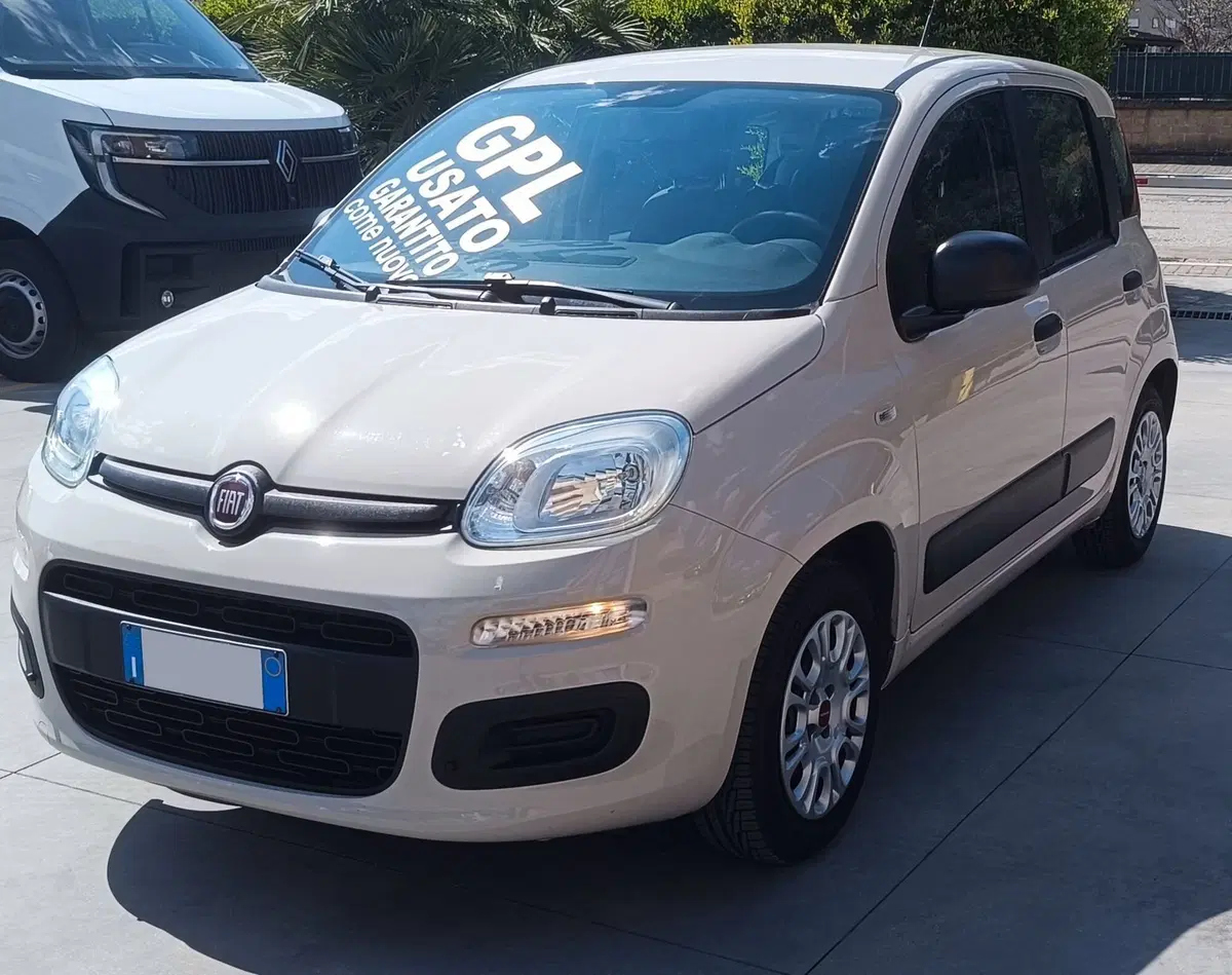 Fiat Panda usata a Frosinone (2)
