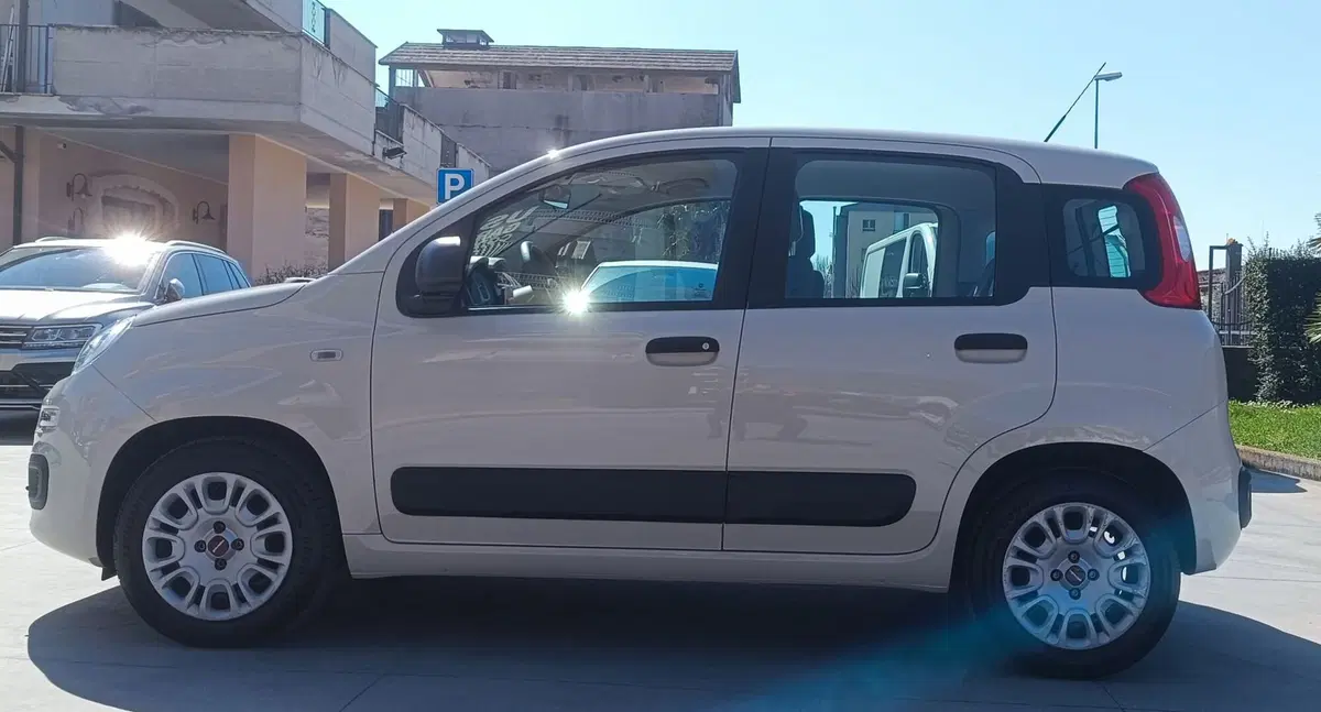 Fiat Panda usata a Frosinone (3)