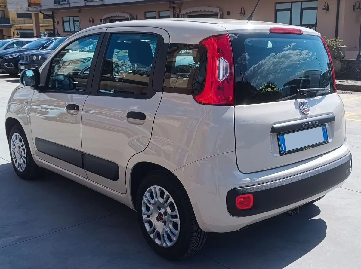 Fiat Panda usata a Frosinone (4)
