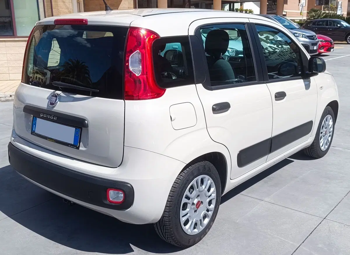 Fiat Panda usata a Frosinone (6)