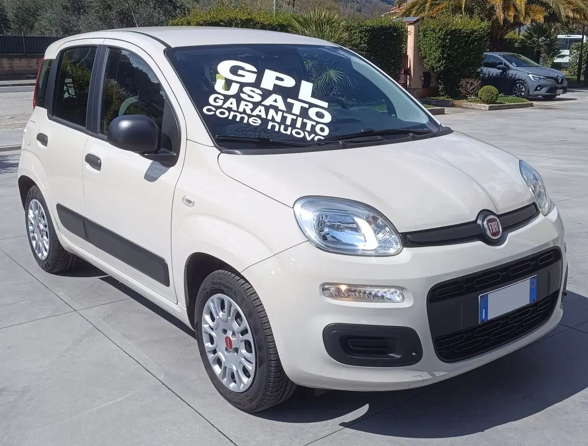 Fiat Panda usata a Frosinone (8)