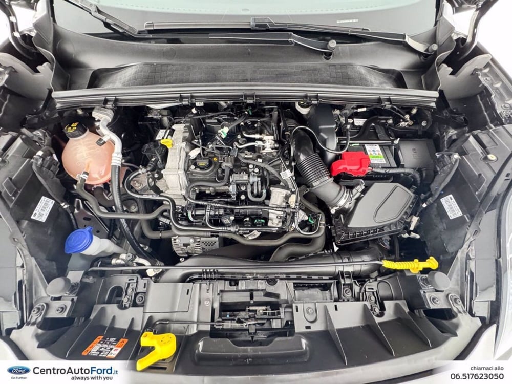 Ford Puma usata a Roma (12)
