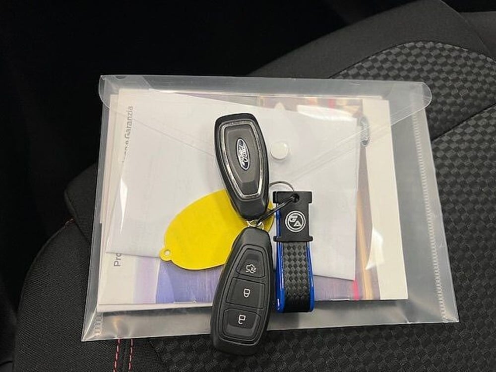 Ford Puma usata a Alessandria (18)