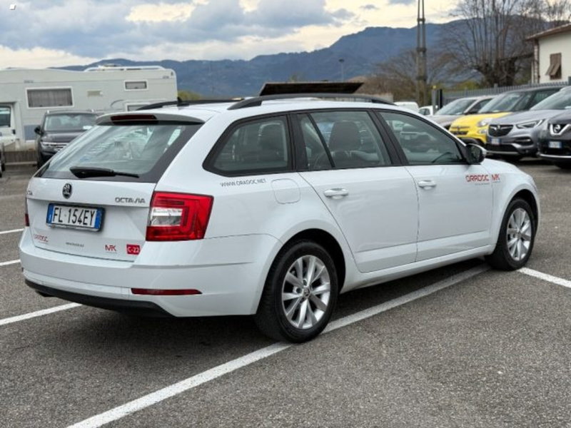 Skoda Octavia Station Wagon usata a Lucca (4)