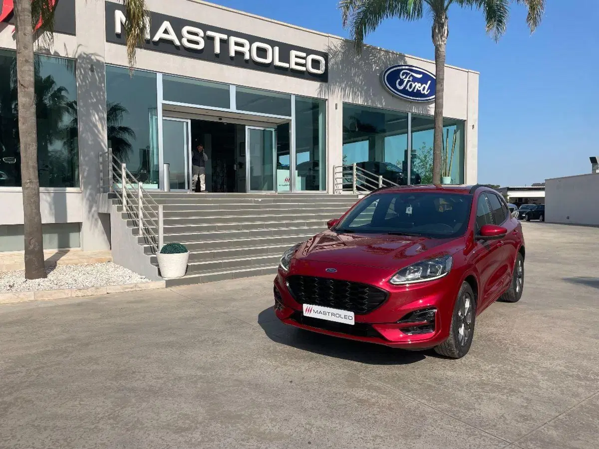 Ford Kuga usata a Lecce (2)