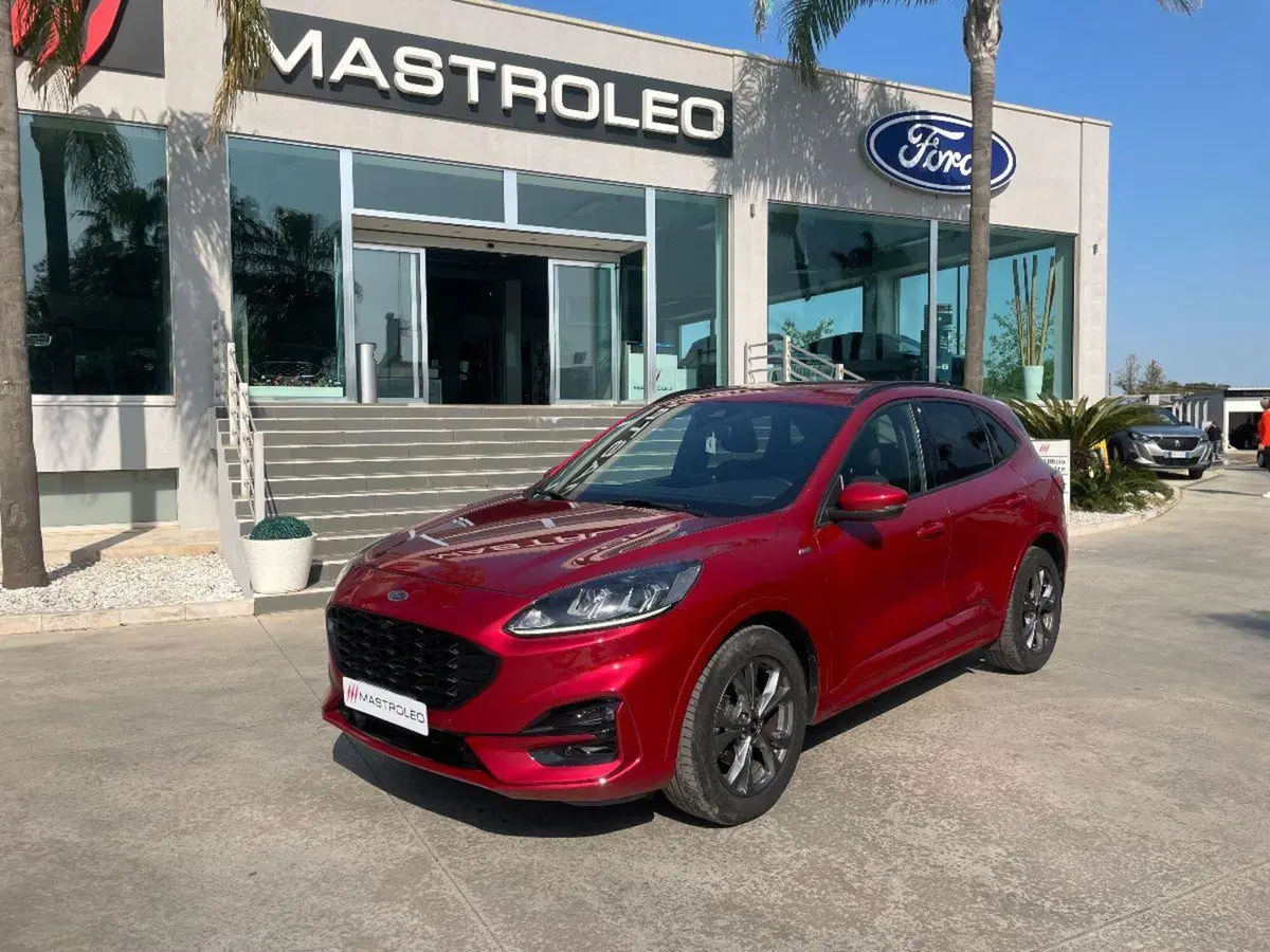 Ford Kuga usata a Lecce (3)