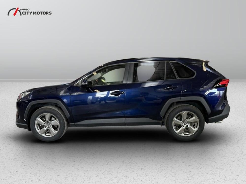Toyota Rav4 usata a Monza e Brianza (4)