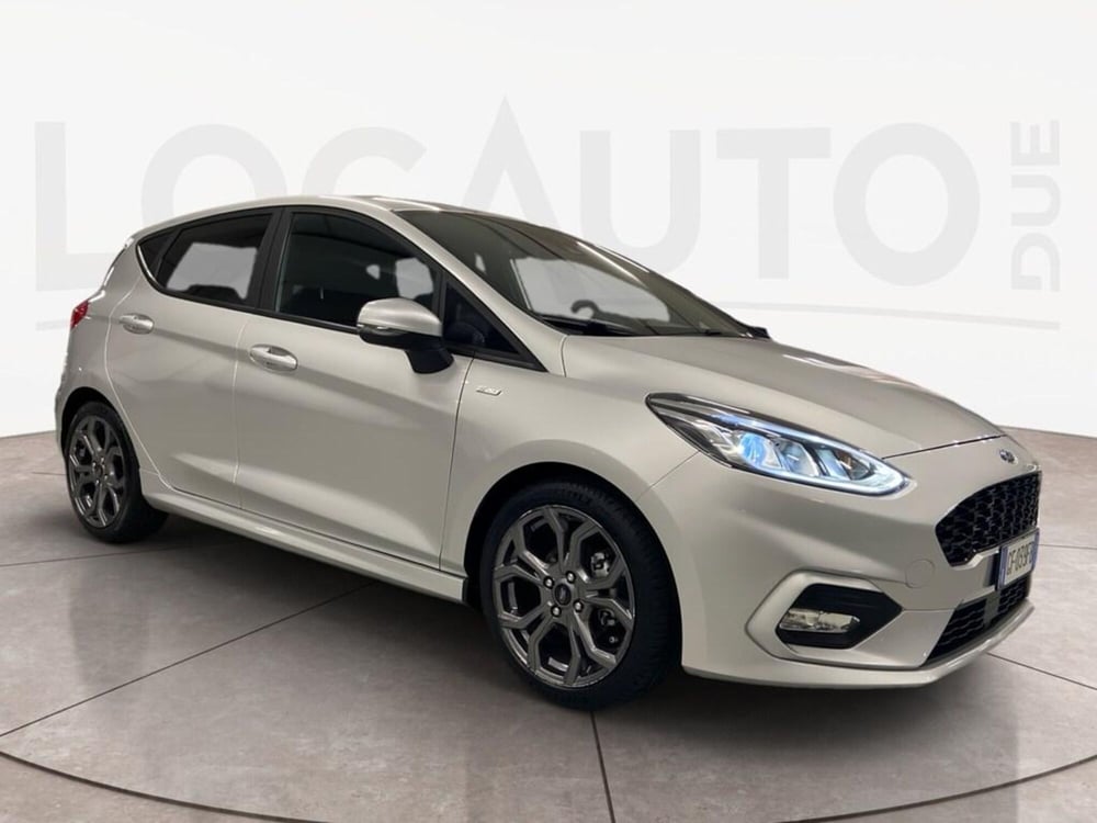 Ford Fiesta usata a Torino (3)