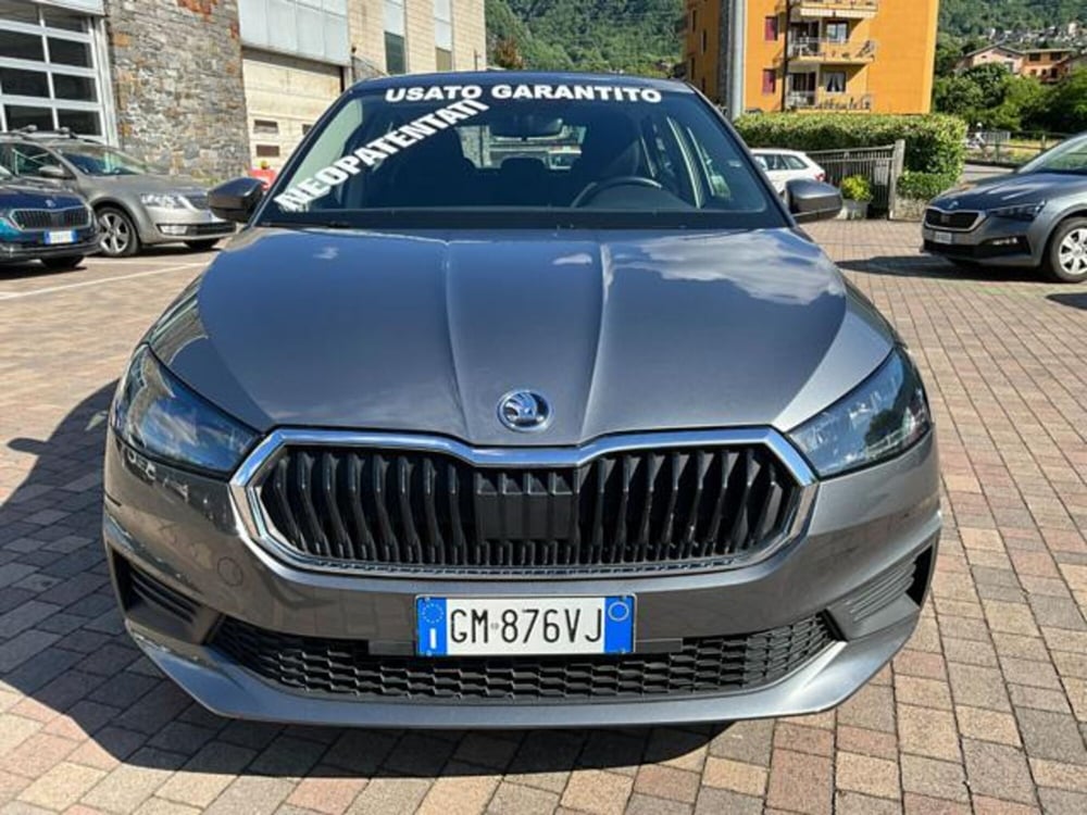 Skoda Fabia usata a Sondrio (2)
