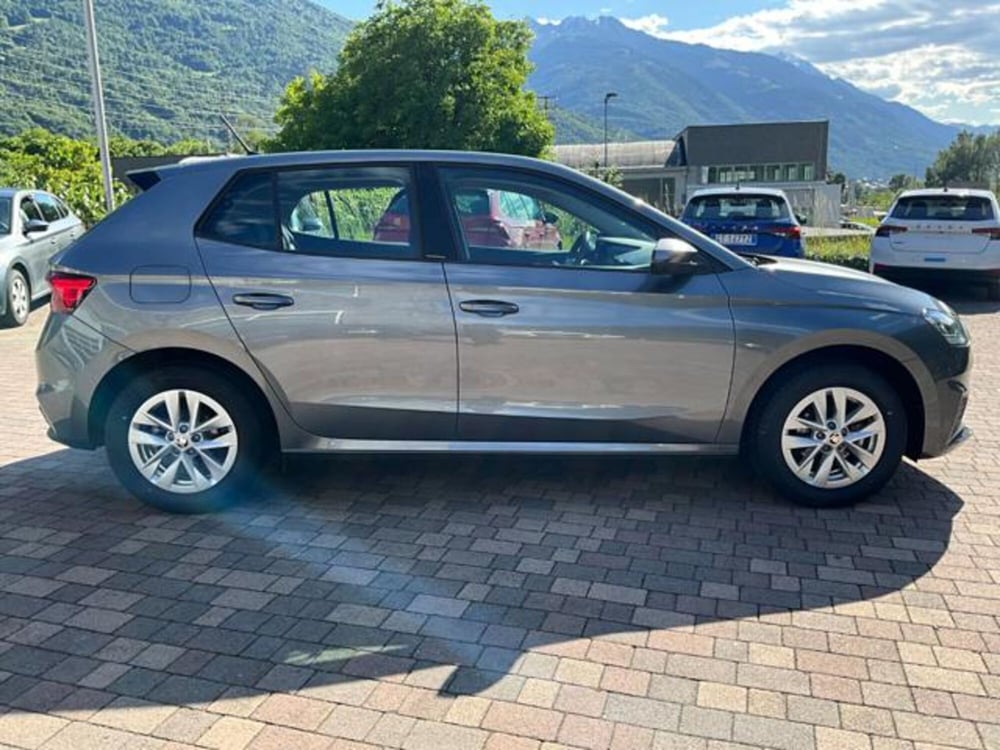 Skoda Fabia usata a Sondrio (9)