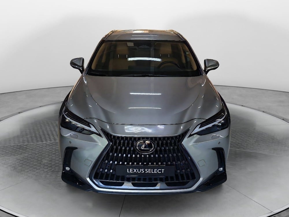 Lexus NX usata a Bologna (2)
