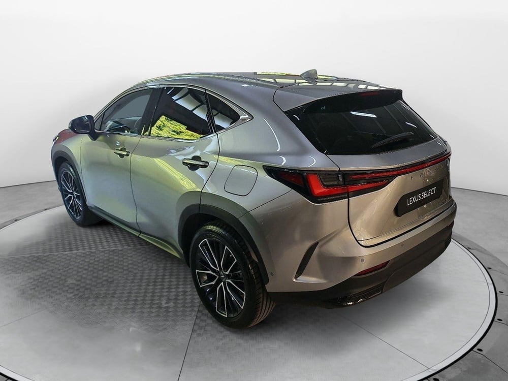 Lexus NX usata a Bologna (4)