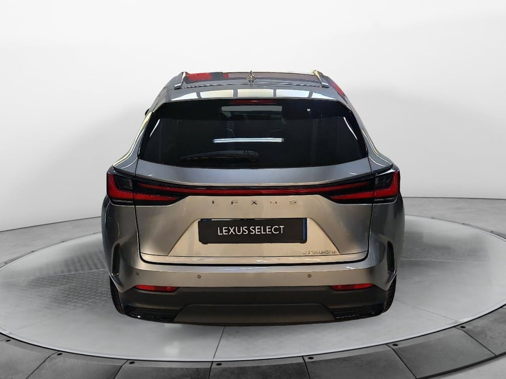 Lexus NX usata a Bologna (5)