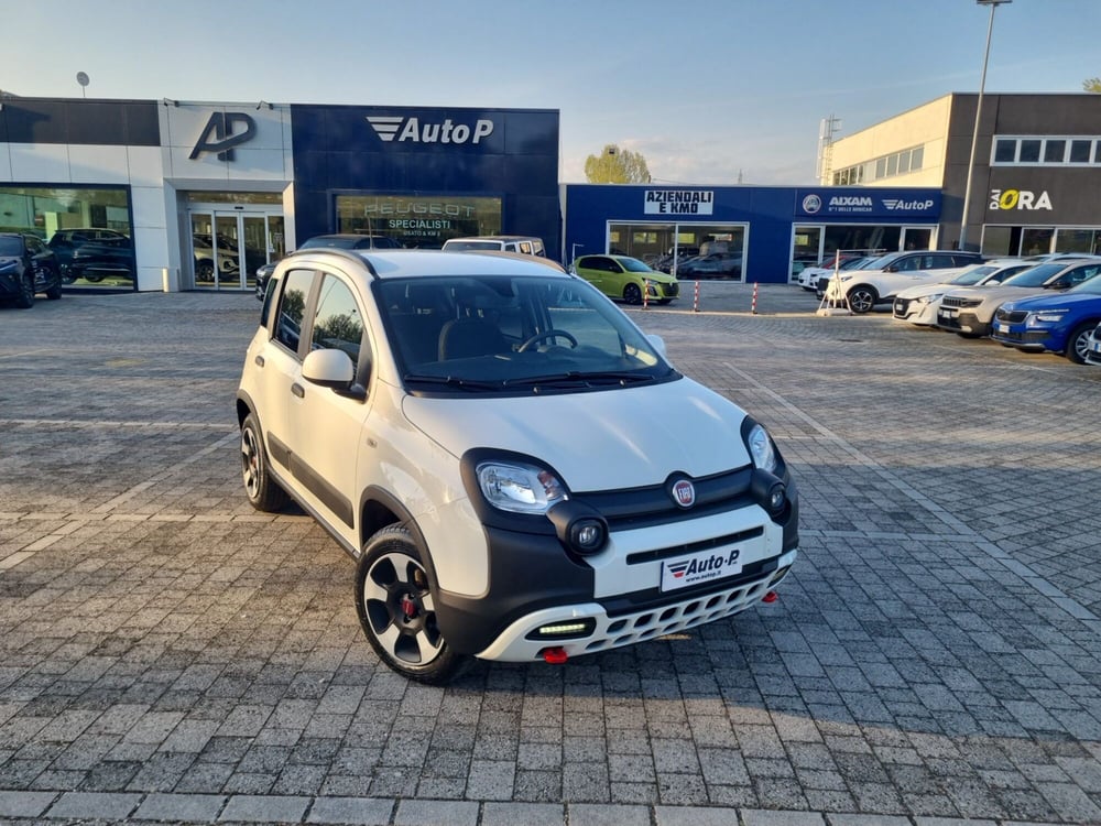 Fiat Panda Cross usata a Lucca (2)