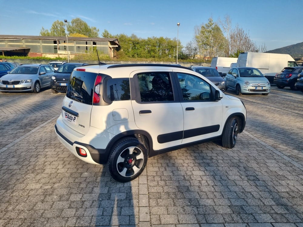 Fiat Panda Cross usata a Lucca (3)