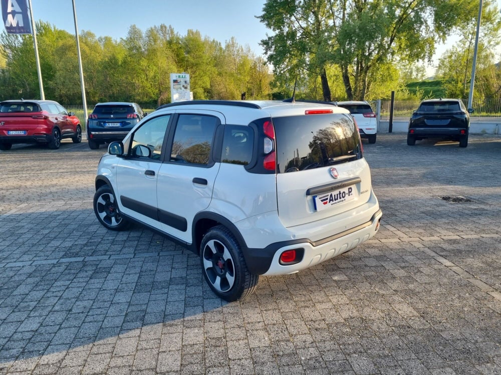 Fiat Panda Cross usata a Lucca (4)
