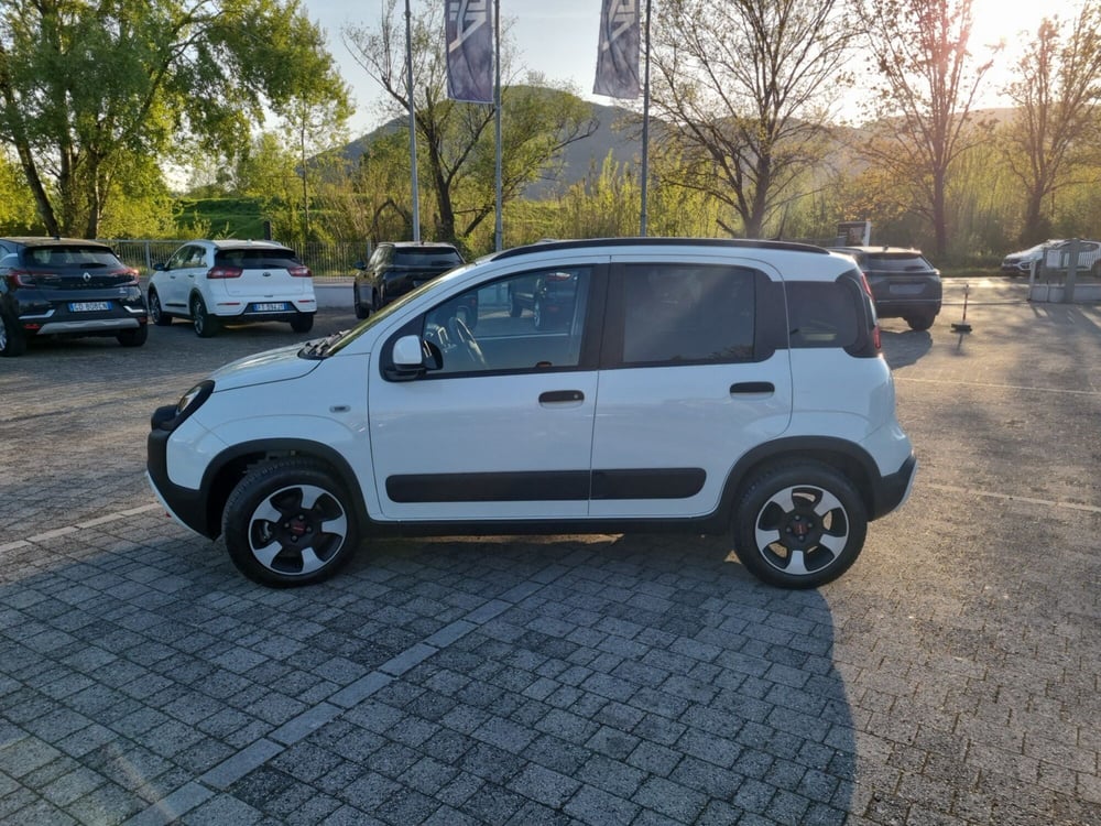 Fiat Panda Cross usata a Lucca (5)