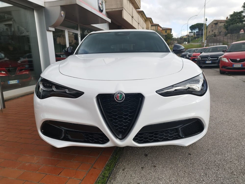 Alfa Romeo Stelvio nuova a Arezzo (2)