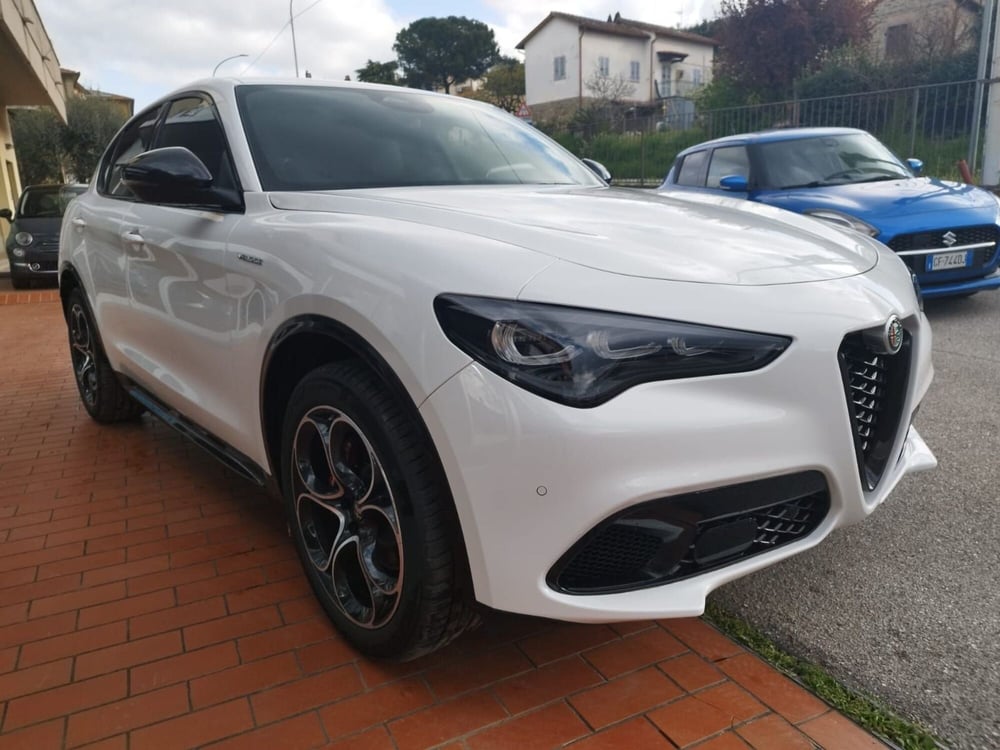 Alfa Romeo Stelvio nuova a Arezzo (3)