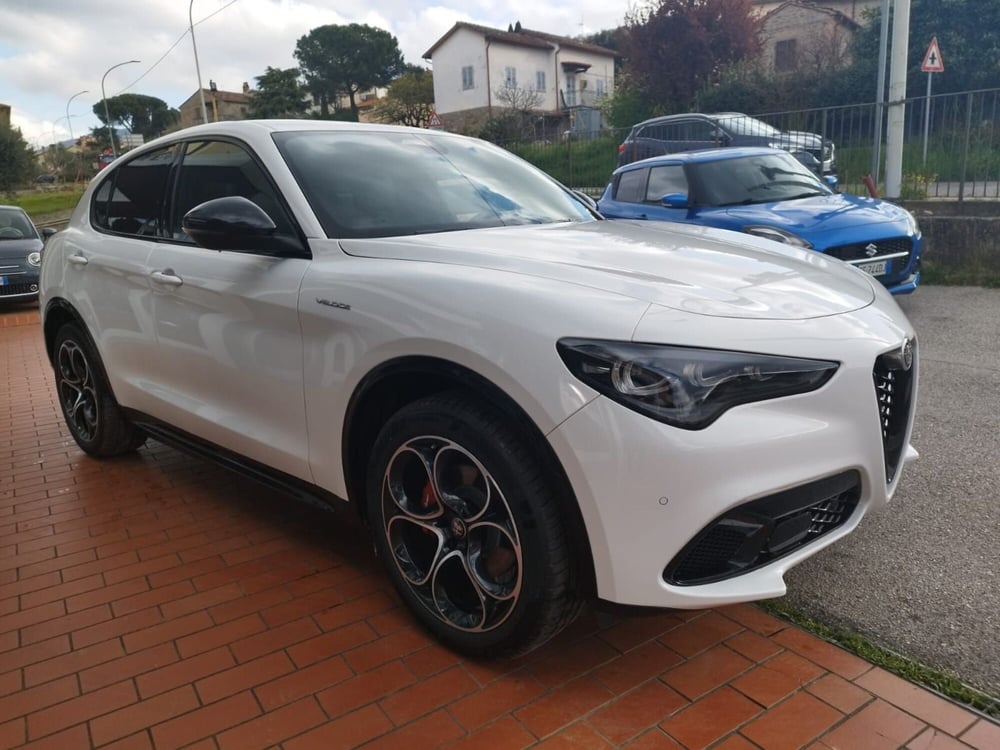 Alfa Romeo Stelvio nuova a Arezzo (4)