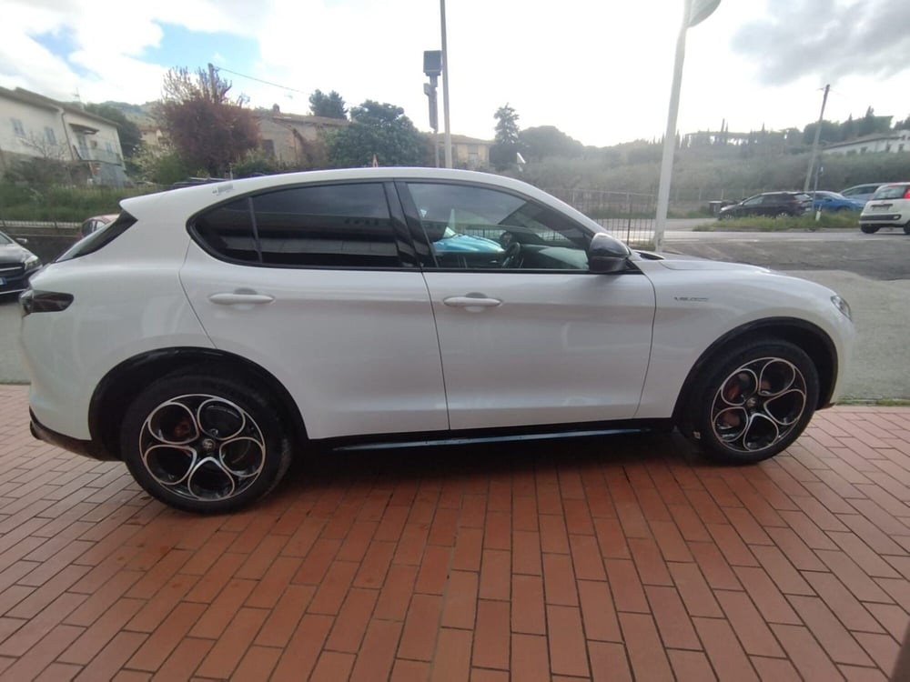Alfa Romeo Stelvio nuova a Arezzo (5)