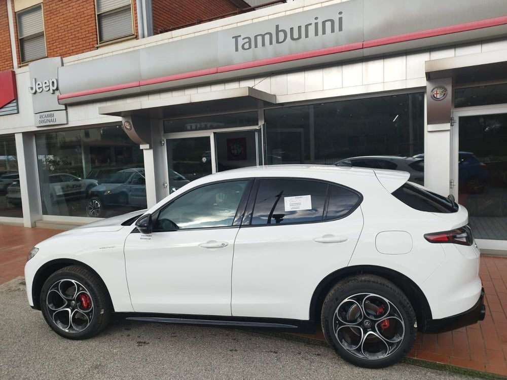 Alfa Romeo Stelvio nuova a Arezzo (6)