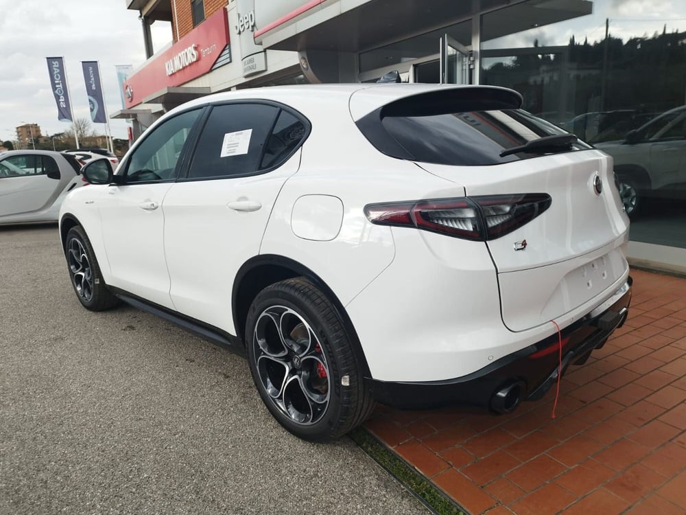 Alfa Romeo Stelvio nuova a Arezzo (7)