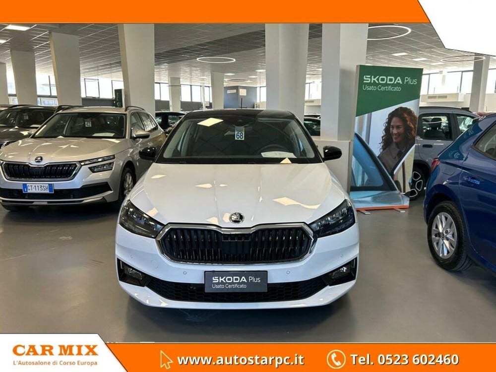 Skoda Fabia usata a Piacenza (2)