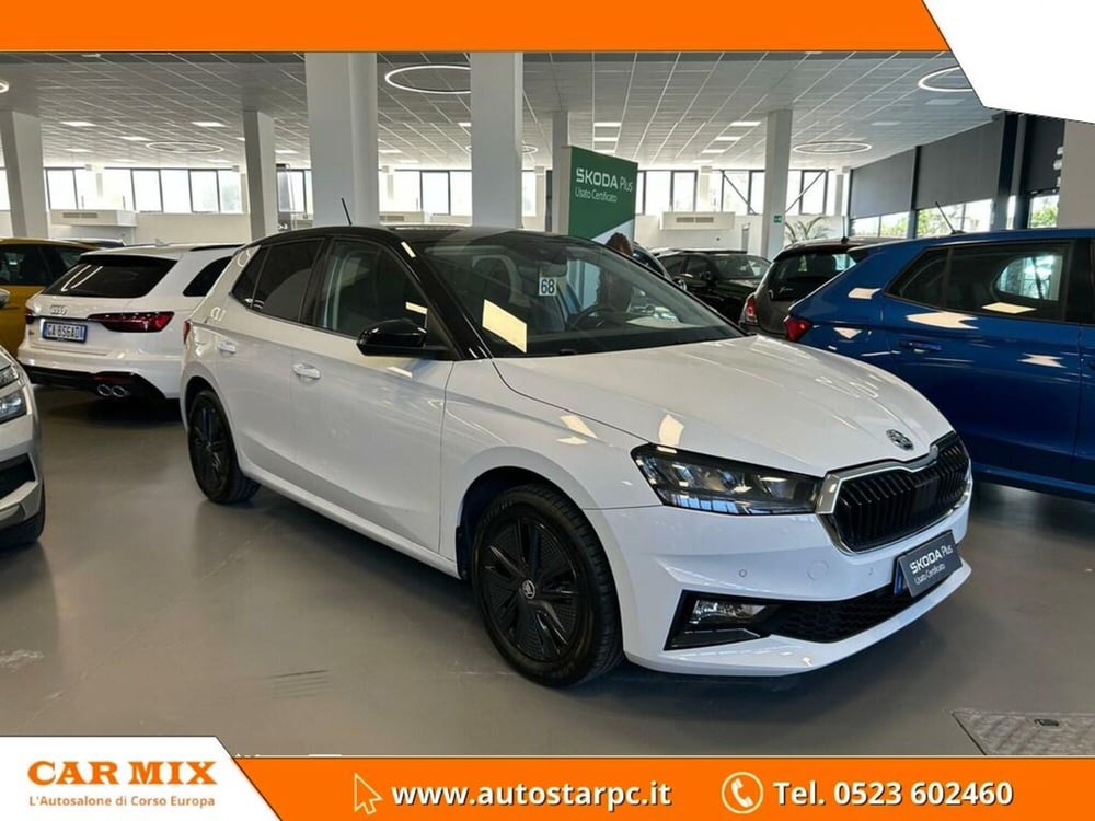 Skoda Fabia usata a Piacenza (3)