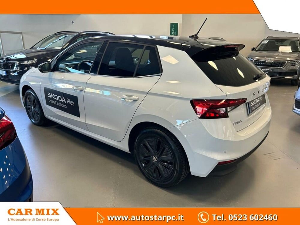 Skoda Fabia usata a Piacenza (4)