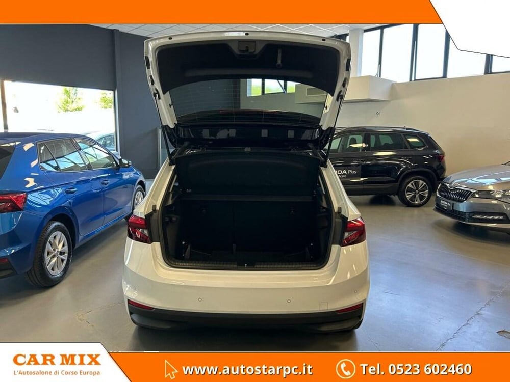 Skoda Fabia usata a Piacenza (7)